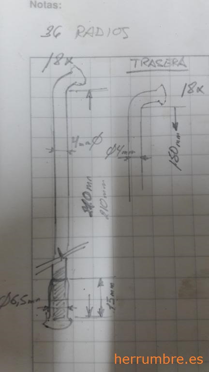 Radios de buje trasero Majesty Assimetric Montesa Enduro H7